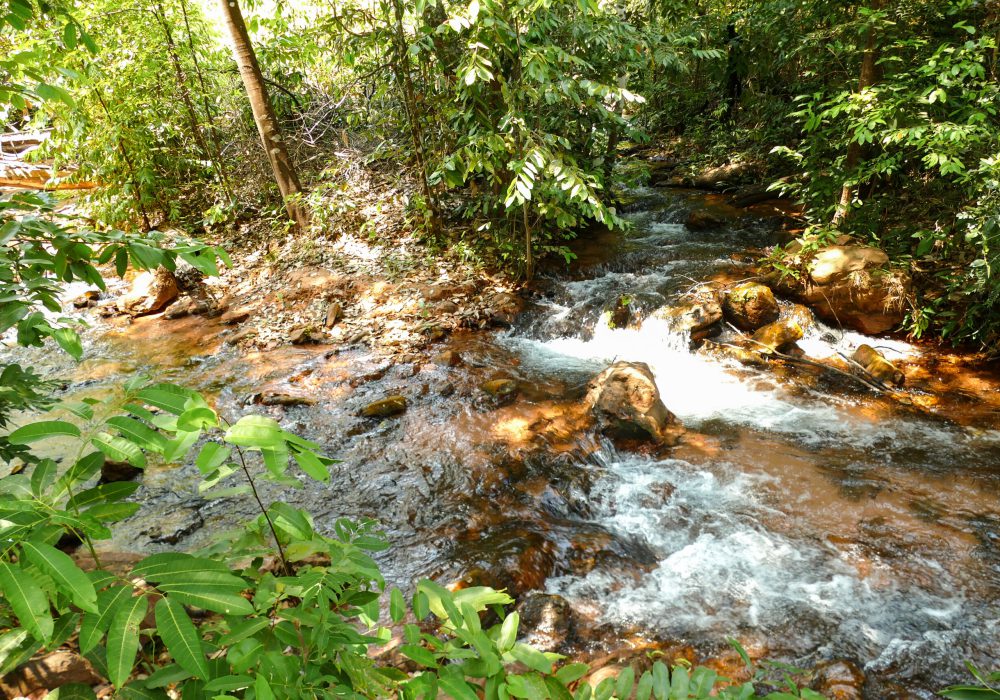 10.01.003 - Parque Nacional das Nascentes do Rio Parnaíba - nascentes do Rio Corriola - 20.09.2021