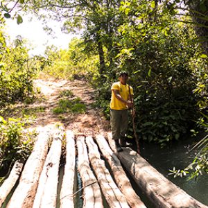 10.01.006 - Parque Nacional das Nascentes do Rio Parnaíba - Ponte sobre o rio Corriola - 08.11.2014