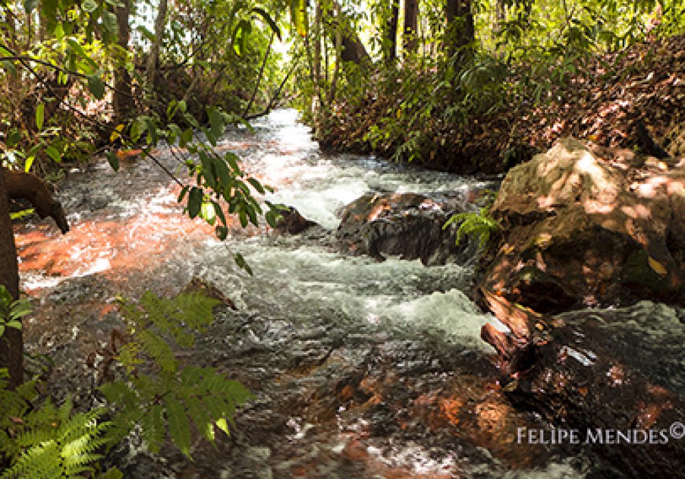 10.01.007 - Parque Nacional das Nascentes do Rio Parnaíba - Rio Água Quente - 08.11.2014