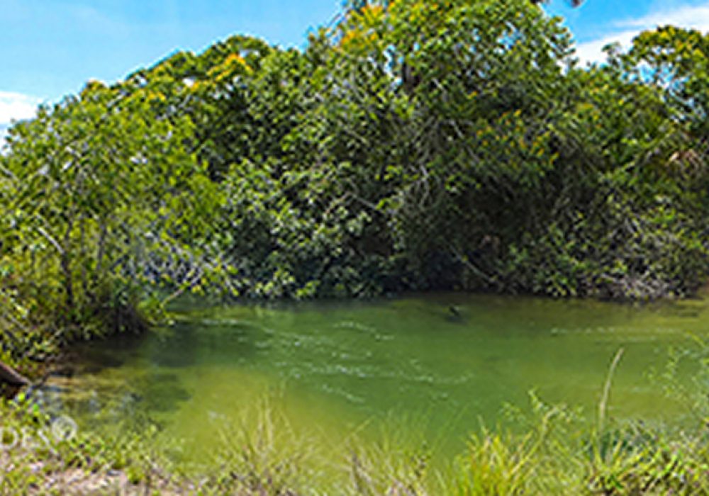 10.01.008 - Parque Nacional das Nascentes do Rio Parnaíba - Rio Água Quente - 08.11.2014